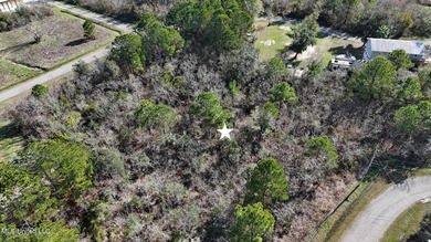 Great half acre parcel in Shoreline Estates is ready for your - photo 7