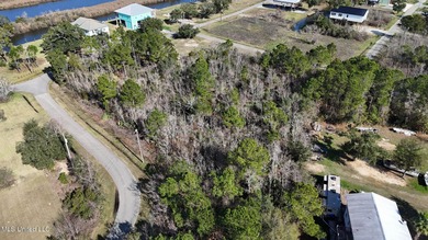 Great half acre parcel in Shoreline Estates is ready for your - photo 8