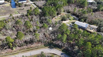 Great half acre parcel in Shoreline Estates is ready for your - photo 9