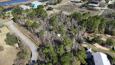 Great half acre parcel in Shoreline Estates is ready for your - photo 10