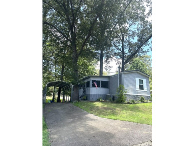 Lake Home For Sale in Springville, Tennessee