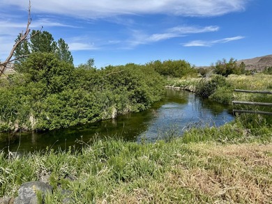 Rancho Silver Creek: Rarely available, 20+ acres with superior - photo 2