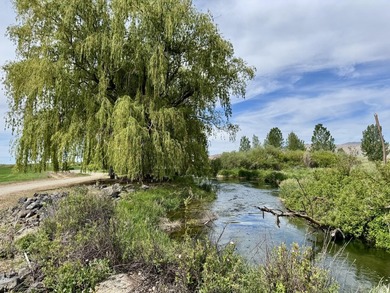Rancho Silver Creek: Rarely available, 20+ acres with superior - photo 3