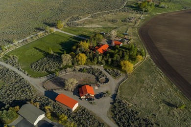 Rancho Silver Creek: Rarely available, 20+ acres with superior - photo 4
