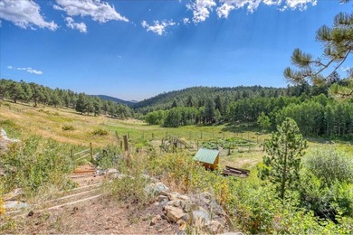 SELLER OFFERING CONCESSION TO COVER CLOSING COSTS OR BUY YOUR - photo 38