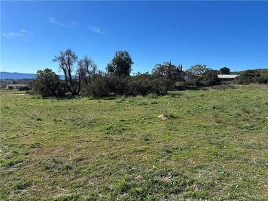 Ironwood Way - photo 3