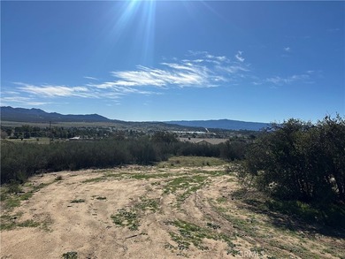 Ironwood Way - photo 5