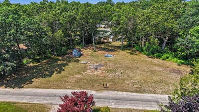 Build your vision on this beautifully cleared lot offering - photo 8