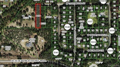 Withlacoochee River Lot For Sale in Dunnellon Florida