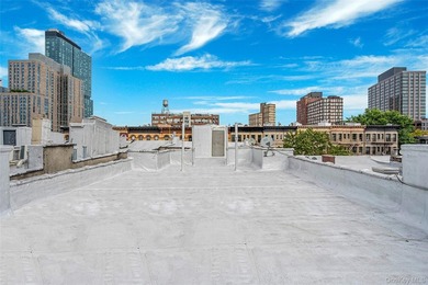 542 Bergen Street, a rare six-unit multifamily opportunity - photo 41