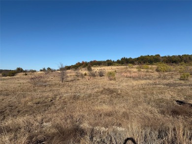 2.48 acre lot overlooking the north end of Possum Kingdom Lake - photo 2