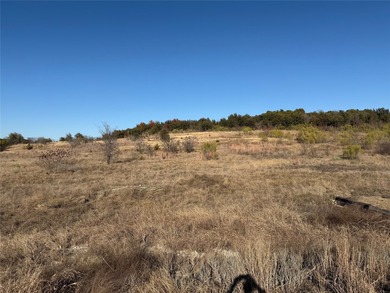 2.48 acre lot overlooking the north end of Possum Kingdom Lake - photo 3