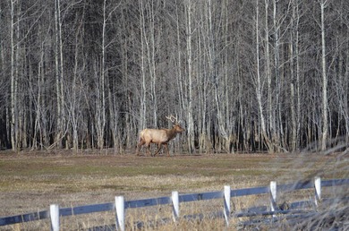 With its rare combination of 426 acres, 15 parcels, and the - photo 5