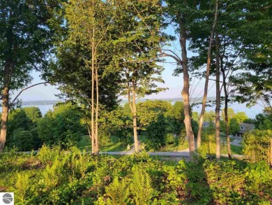Lake Lot For Sale in Rapid City, Michigan