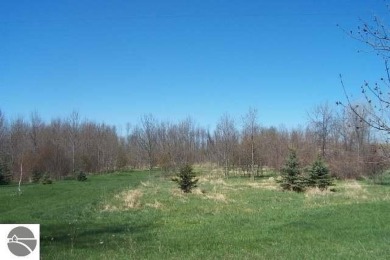 Lake Lot For Sale in Rapid City, Michigan