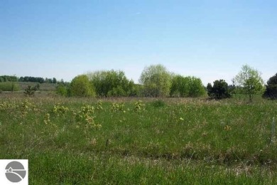 Lake Lot For Sale in Rapid City, Michigan