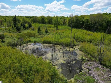 Lake Acreage Sale Pending in Marion, Michigan