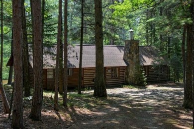 Lake Home For Sale in Clearwater Twp, Michigan