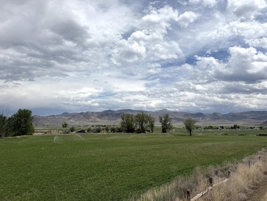 Large 97.5 acre parcel in Challis with Salmon River adjacency - photo 1