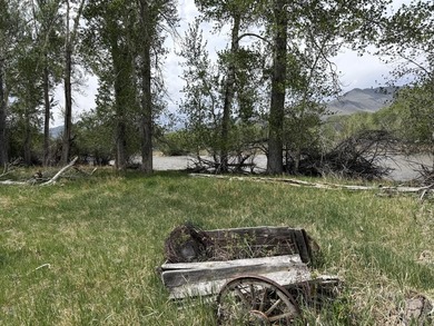 Large 97.5 acre parcel in Challis with Salmon River adjacency - photo 7