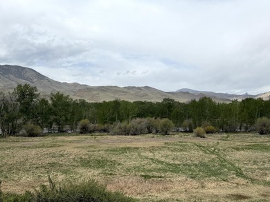 Large 97.5 acre parcel in Challis with Salmon River adjacency - photo 8