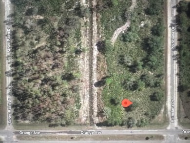 Lake Weohyakapka Lot For Sale in Indian Lake Estates Florida