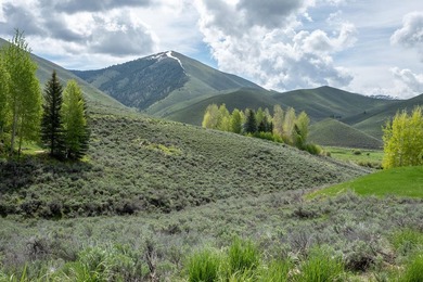 This premium elevated lot has mountain views in all directions - photo 1