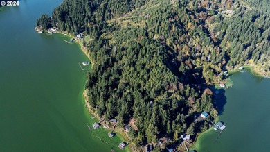 YOUR CHANCE TO OWN 5 +/- ACRES with Approx. 295' OF SOUTH - photo 5