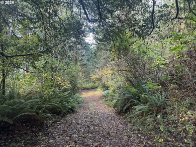 YOUR CHANCE TO OWN 5 +/- ACRES with Approx. 295' OF SOUTH - photo 10
