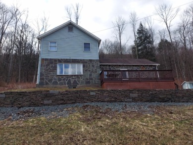 Delaware River - Delaware County Home For Sale in Deposit New York