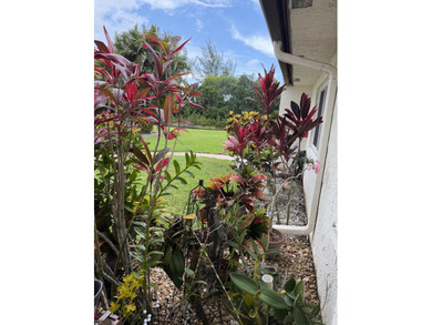 55 plus PRIME location, first floor with the view of an - photo 6