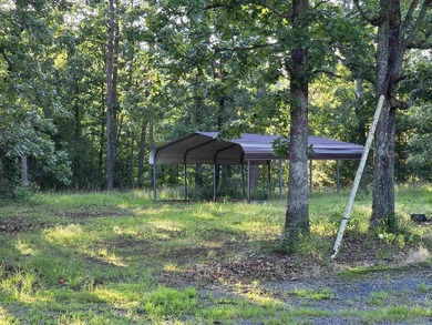 A rare find in Mena - a rustic home on 5 beautiful acres with - photo 36
