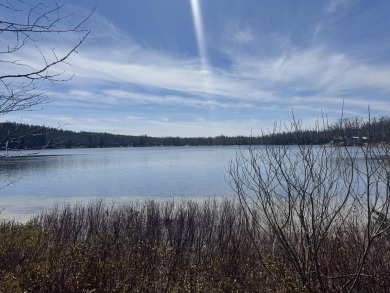 Lake Lot For Sale in Gaylord, Michigan