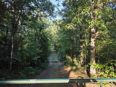 A rare find in Mena - a rustic home on 5 beautiful acres with - photo 45