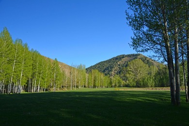 Rare opportunity to create a dream mountain resort compound on - photo 5