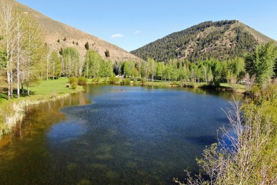 Rare opportunity to create a dream mountain resort compound on - photo 6