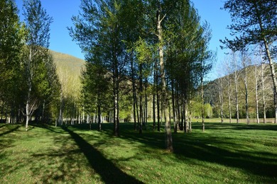 Rare opportunity to create a dream mountain resort compound on - photo 8
