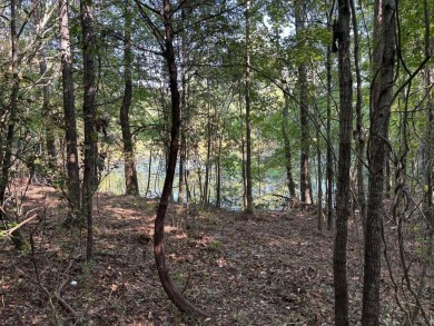 Lake Lot For Sale in Mccormick, South Carolina