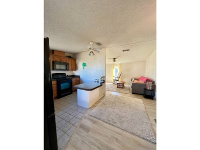 2 Bed | 2 Bath | 960 square foot | $55,500 (Swiss Golf and - photo 7