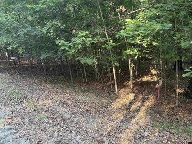 Rare Opportunity - 6.55 Acres in Webbs Landing Subdivision - photo 6