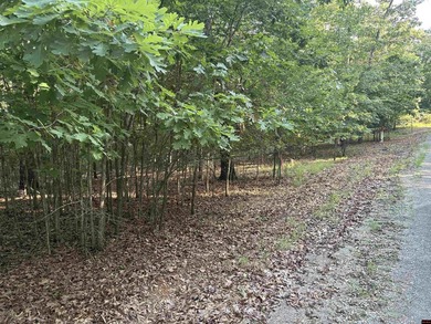 Rare Opportunity - 6.55 Acres in Webbs Landing Subdivision - photo 8