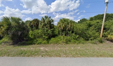 Lehigh Acres Area Lot For Sale in Lehigh Acres Florida