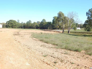 LAKE AREA SMALL ACREAGE RESTRICTED RESIDENTIAL LAND-ON LITTLE - photo 2