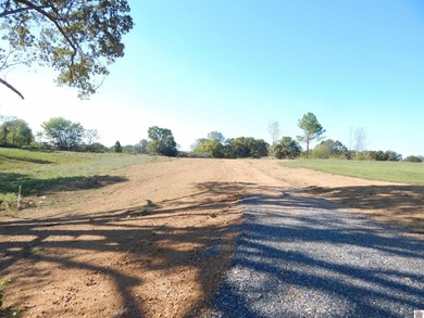 LAKE AREA SMALL ACREAGE RESTRICTED RESIDENTIAL LAND-ON LITTLE - photo 5