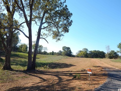 LAKE AREA SMALL ACREAGE RESTRICTED RESIDENTIAL LAND-ON LITTLE - photo 6