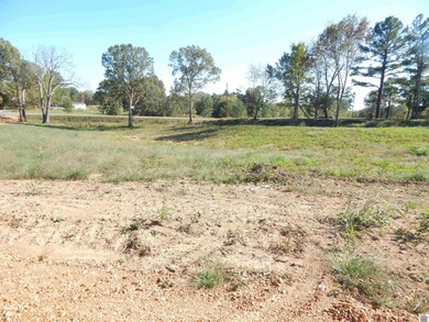 LAKE AREA SMALL ACREAGE RESTRICTED RESIDENTIAL LAND-ON LITTLE - photo 7