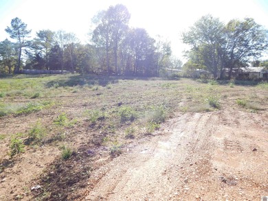 LAKE AREA SMALL ACREAGE RESTRICTED RESIDENTIAL LAND-ON LITTLE - photo 10