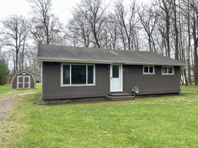 Lake Home For Sale in Hubbard Lake, Michigan