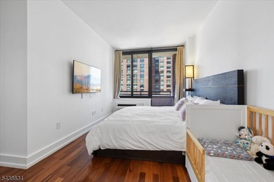 Beautiful 23rd-floor corner residence in one of Downtown Jersey - photo 11