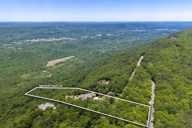 Welcome to 3099 Sunset Dr in Rising Fawn, a custom built home - photo 4